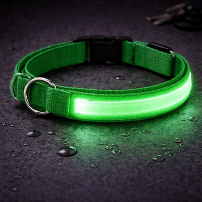 USB Rechargeable LED Light-Up Dog Collar