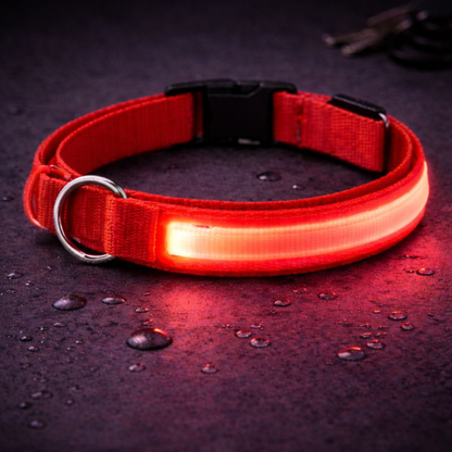 USB Rechargeable LED Light-Up Dog Collar