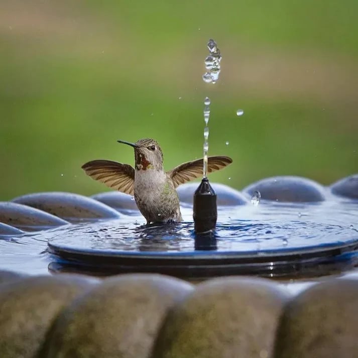 💧 50% OFF NOW! ☀️ Solar Fountain Bird Bath Pump – 1.4W Solar Panel, 4 Nozzles & Submersible for Pond, Garden & Pool 🐦